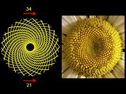 fibonacci1
